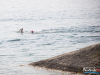 1002img_0377