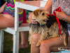 1006img_0402