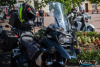 1511IMG_4492_wynik