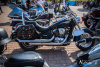 1516IMG_4540_wynik