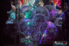 2152IMG_0009_wynik