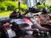1050IMG_8262_wynik
