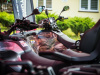 1050IMG_8264_wynik