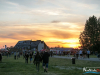 2038img_6639