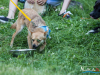 1253img_7245