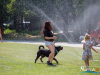 1335img_7256