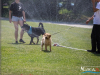 1337img_7263