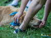 1354img_7278