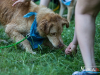 1354img_7279