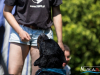 1354img_7282