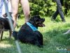 1355img_7284