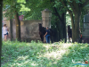 1358img_7287