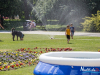 1415img_7303