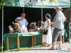 1626img_7506