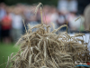 1615img_7212