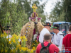 1619img_7216