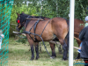 1627img_7241