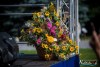 IMG_20191502