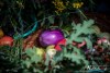 IMG_20331505
