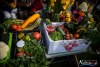 IMG_21081531