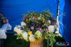 1505IMG_9573