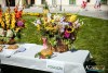 1507IMG_9591
