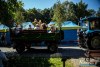 1508IMG_9610