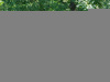 k0008-104