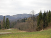 n0020-121
