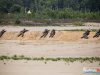 1403img_3336