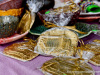 q110073