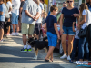 1552img_1237