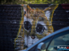 1552img_1238
