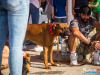 1553img_1243