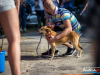 1553img_1245