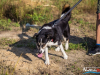 1554img_1257