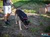 1554img_1258