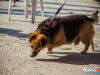 1559img_1275