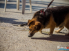 1559img_1277