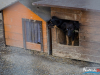 1622img_1367