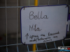 1622img_1368