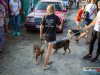 1640img_1421