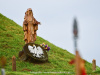 tomek0021_wynik