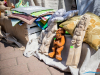1148_img_0225_wynik