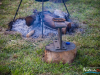 1358img_2407