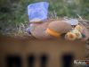 1359img_2408