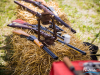 1359img_2418