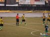 1537img_3229