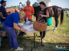 1059img_9594_09_12_2016