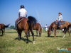1101img_9607_09_12_2016